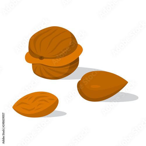 Nuts on the table. Walnut, hazelnut and almond