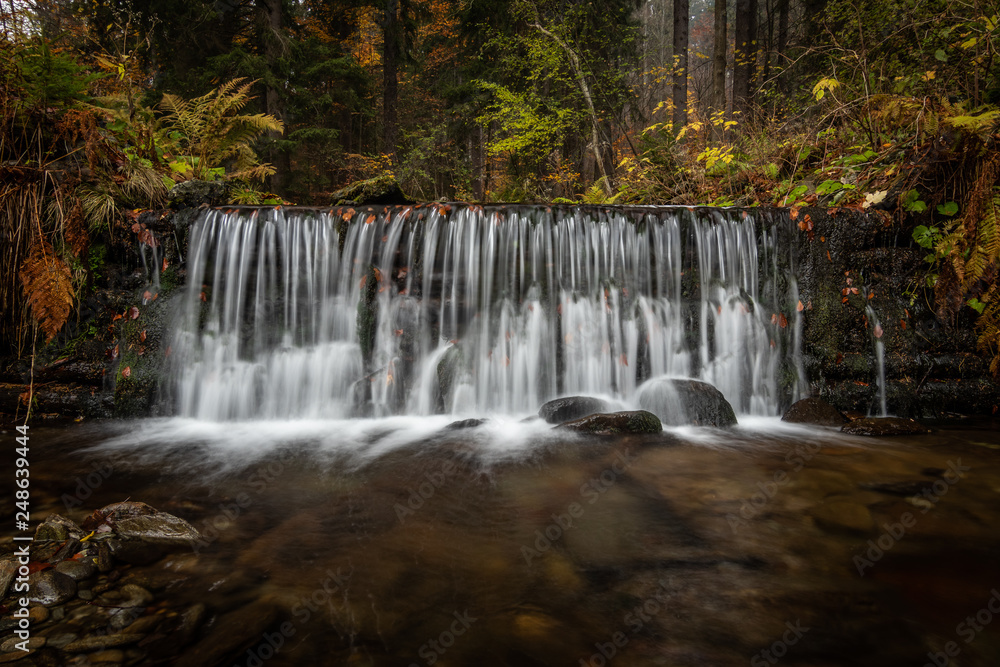 Autumn in forest by a river. A special and magical scene, fallen leaves, dark tones and flowing water. Time and place to relax and unwind. Beautiful time of the year, very popular season.