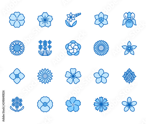 Flowers flat line icons. Beautiful garden plants - sunflower, poppy, cherry flower, lavender, gerbera, plumeria, hydrangea blossom. Thin signs for floral store. Pixel perfect 64x64 Editable Strokes