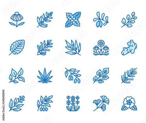 Medical herbs flat line icons. Medicinal plants echinacea, melissa, eucalyptus, goji berry, basil, ginger root, thyme, chamomile. Thin signs for herbal medicine. Pixel perfect 64x64 Editable Strokes