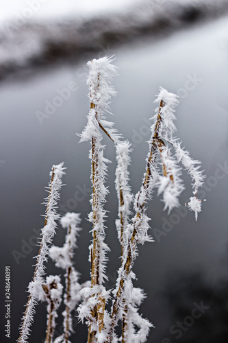 Eiskristalle an Halmen