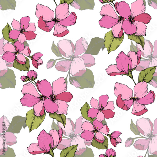 Vector Pink Apple blossom floral botanical flower. Engraved ink art. Seamless background pattern.