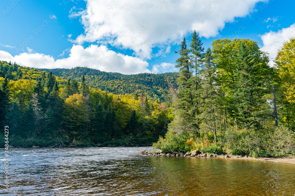 Naklejka premium Beautiful fall color of Jacques-Cartier National Park