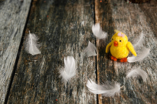 Cute yellow felted chicken toy and feathers photo