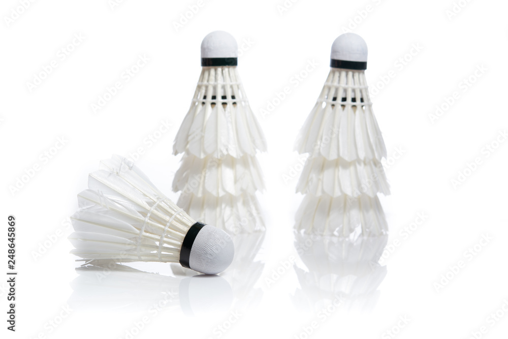 White Feather Shuttlecocks Badminton isolated on white background