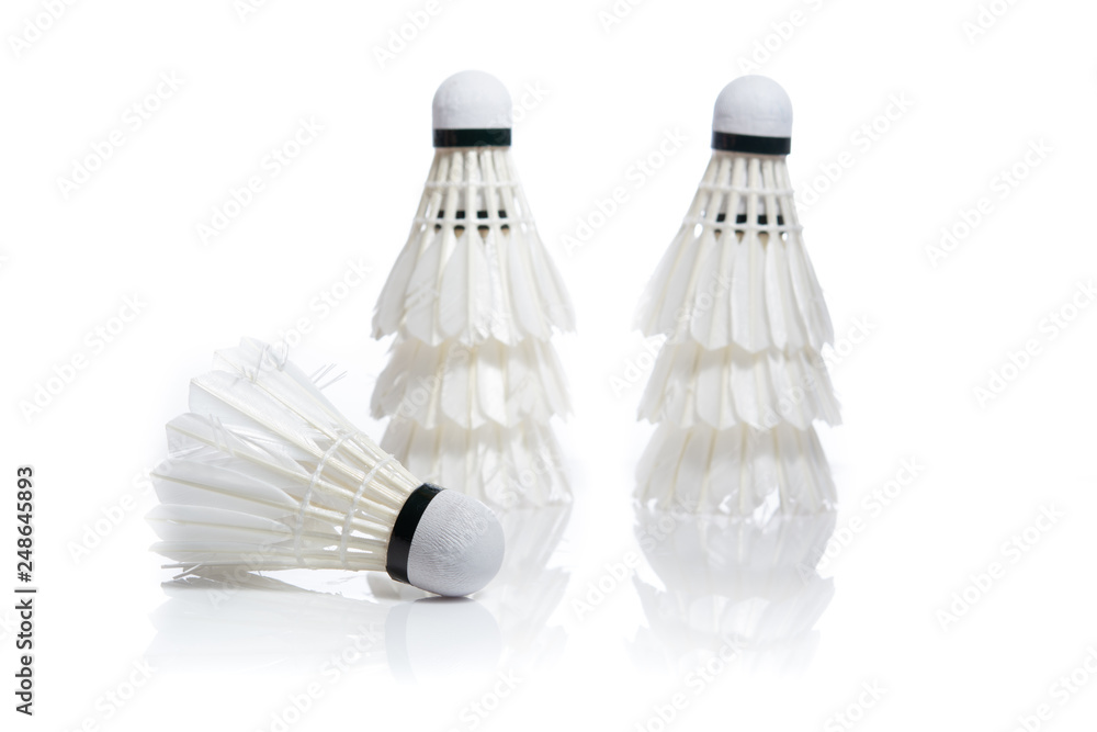 White Feather Shuttlecocks Badminton isolated on white background
