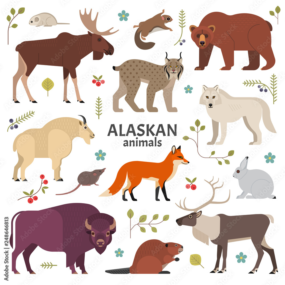 Alaskan animals. Vector illustration of North American mammals, such as  moose, lynx, grizzly bear, polar white wolf, bison, red fox and beaver.  Isolated on white. Stock Vector | Adobe Stock