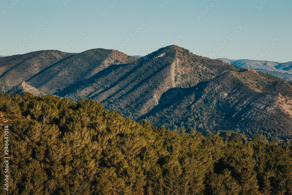 Mountains with tree line in foreground in Spain