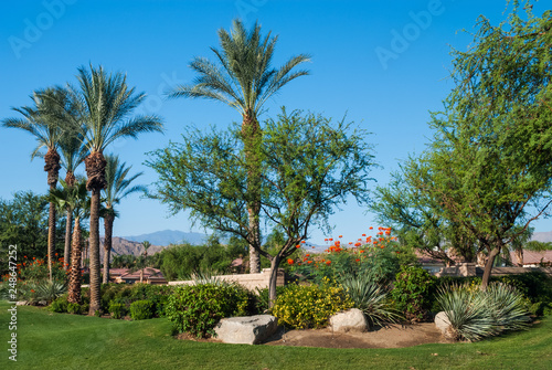 Desert Oasis Garden