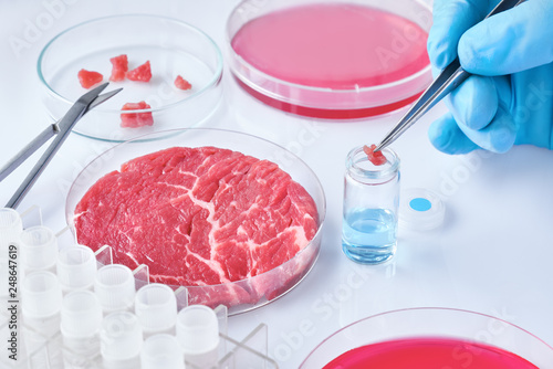 Meat sample in open  disposable plastic cell culture dish in modern laboratory or production facility
