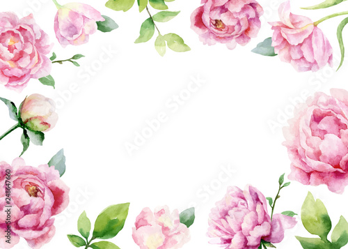 Watercolor vector hand painting card of peony flowers and green leaves.