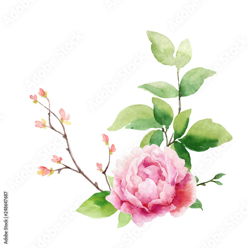 Watercolor vector hand painting wreath of peony flowers and green leaves.