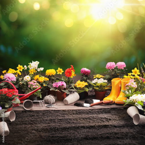 Garden Flowers and Plants on a Sunny Background. Gardening Concept