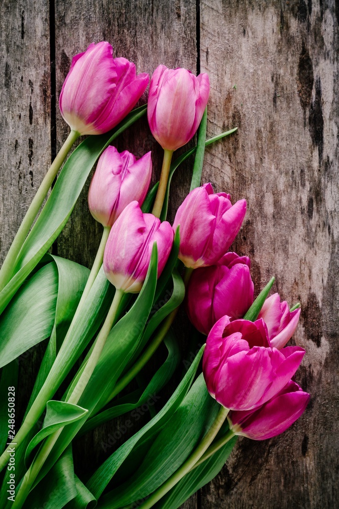 Pink tulips bouquet on a rustic wooden background. Mother's Day background.