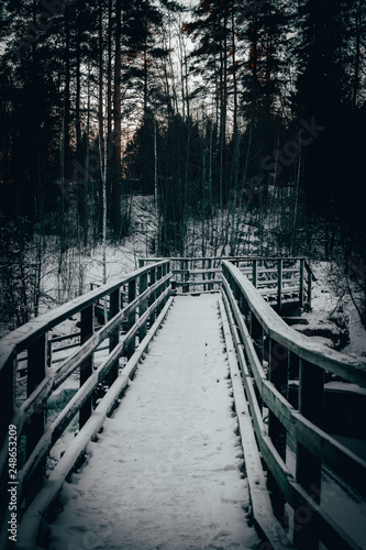 bridge in the forest © Olli