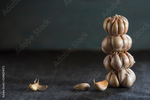  Garlic on a dark background