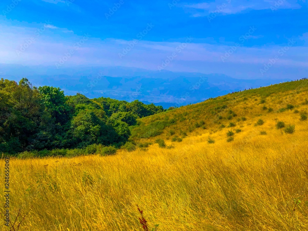Fototapeta premium autumn landscape in the mountains