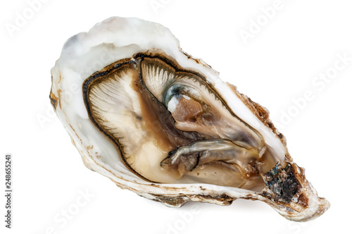 fresh open oyster on white