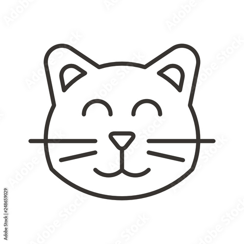 Animals  cat  kitty  muzzle  smile