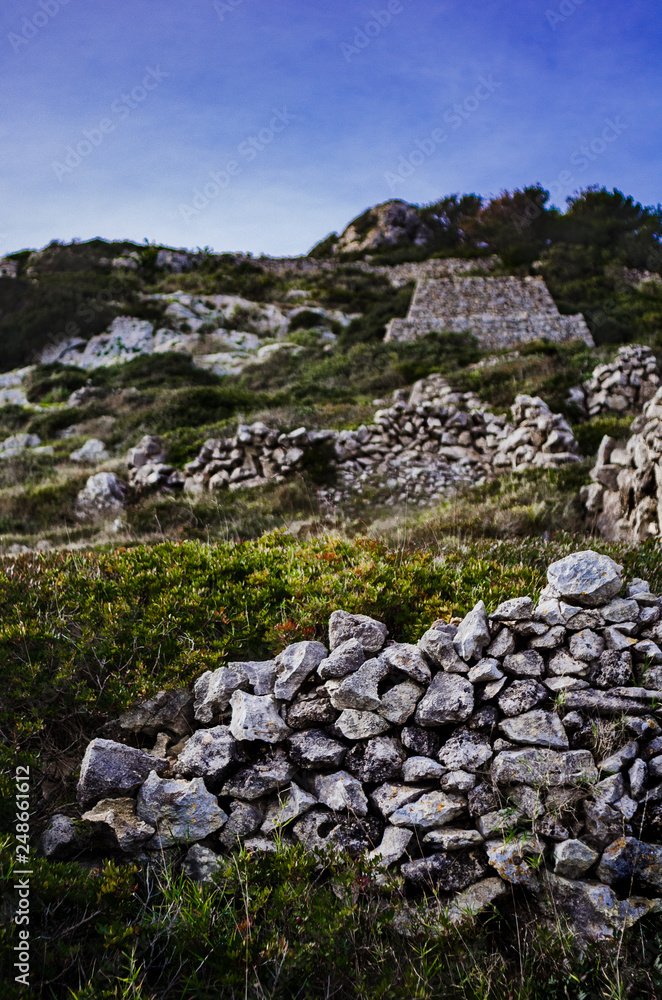 dry stone walls into the wild