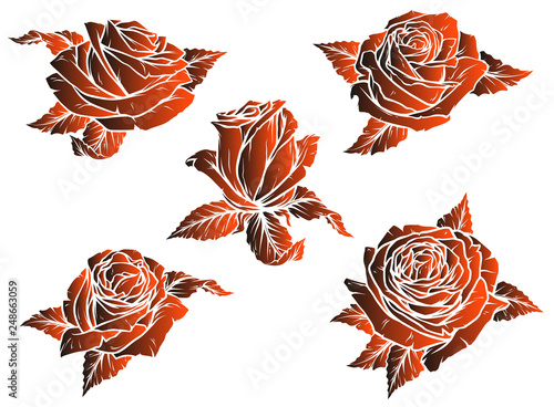 Graphic detailed stylized dark red rose flower bud with leaves. On white background. Vector icon set.