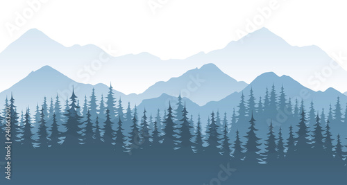 Mountain forest, vector landscape illustration