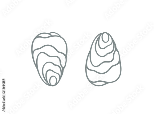 Oyster logo. Isolated oyster  on white background