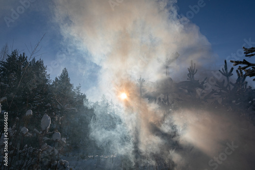 Beautiful winter forest. Snowy winter. Frosty sun illuminates pines and snow.