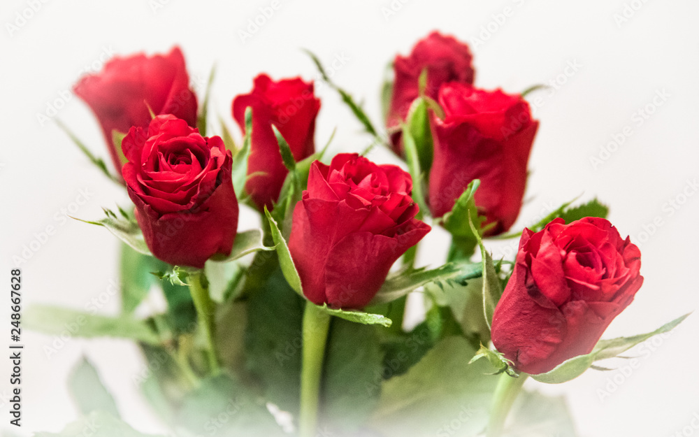 Beautiful bouquet of red roses full of love Beautiful bouquet of red roses full of love