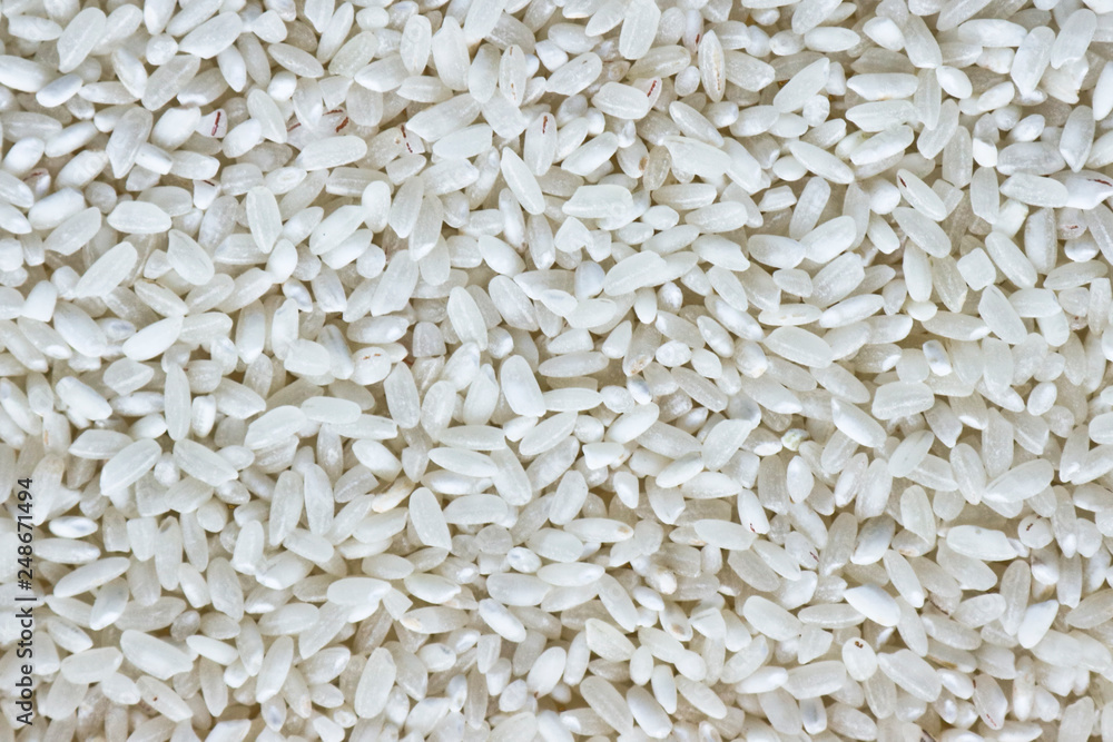 The texture of the round grain rice. Rice groats.