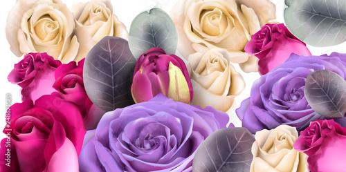 Purple roses bouquet Vector watercolor. Mother day background. Beautiful spri...