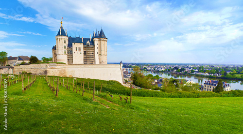 Panorama of back facade and vineyard near Château de Saumur