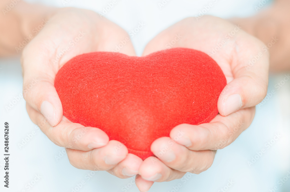 handsome man holding red heart in hands giving for love life healthy care medicine hospital concept and lovely romantic for valentines day. handsome man holding red heart in hands giving for love life healthy care medicine hospital concept and lovely romantic for valentines day.