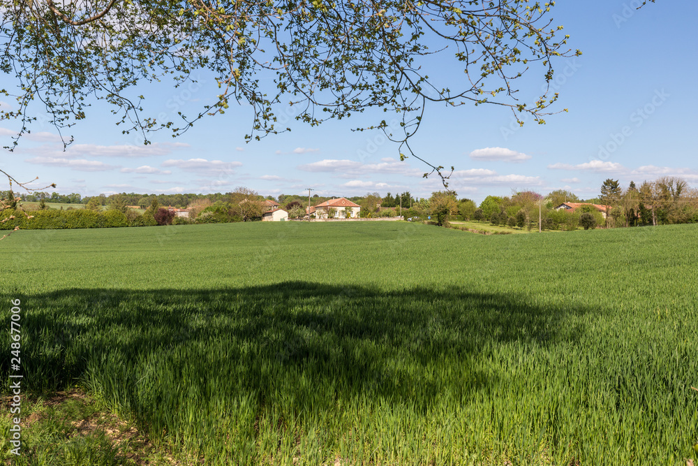 Landscape near Saint-Privat-des-pres in Dordogne, France