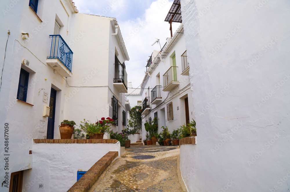 Small alley lane with white buildings and pots with flowers in front under a sunny sky in frigiliana spain