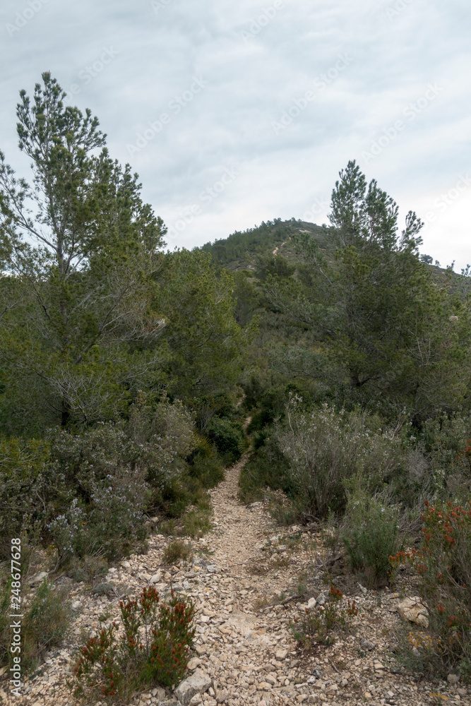 The mountains of the sierra de irta in Alcocebre The mountains of the sierra de irta in Alcocebre