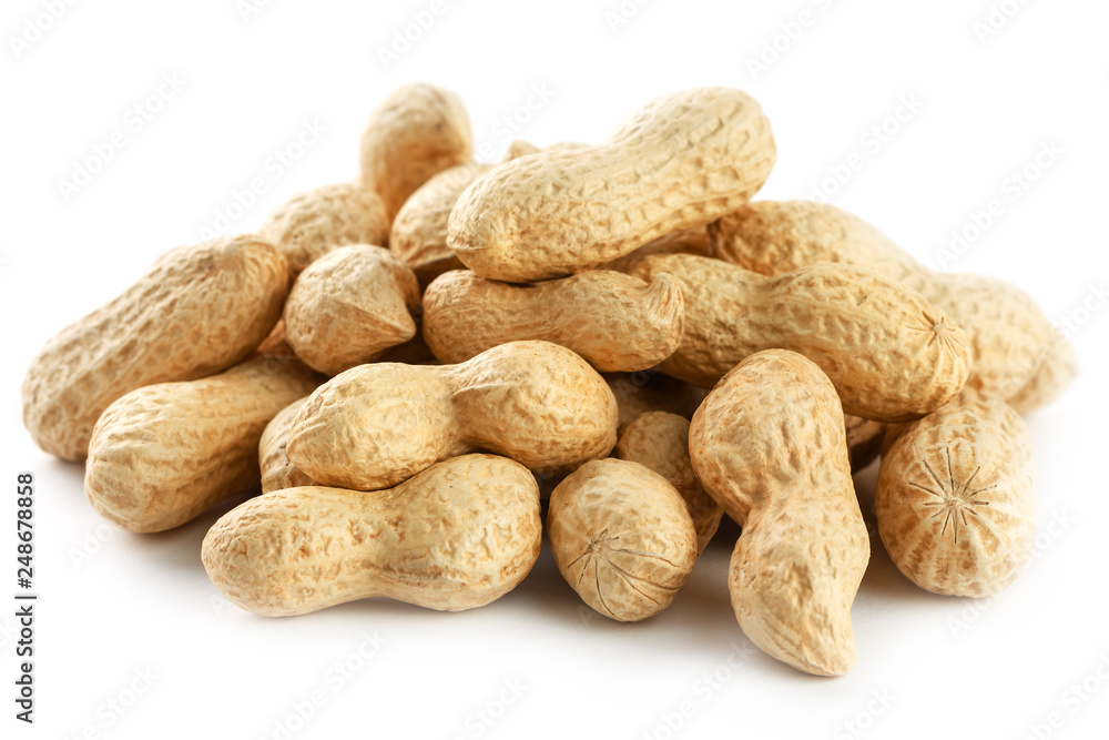 Peanuts. Two peeled nuts isolated on white background. Peanut macro. Peanuts. Two peeled nuts isolated on white background. Peanut macro.