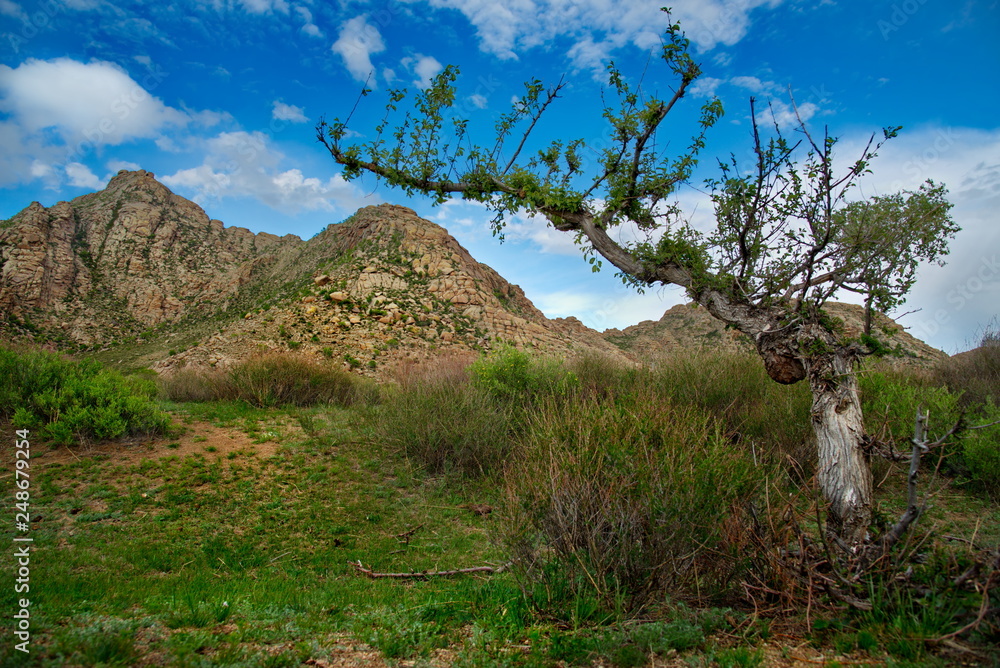 Central Mongolia. Endless mountain steppes in the area of the monastery Ovgon Hyde.