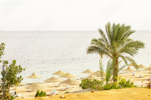 Egyptian hotel resort and spa. Coast shore of Red Sea in Sharm el Sheikh, Sinai, Egypt.