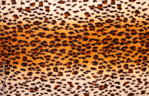 leopard pattern