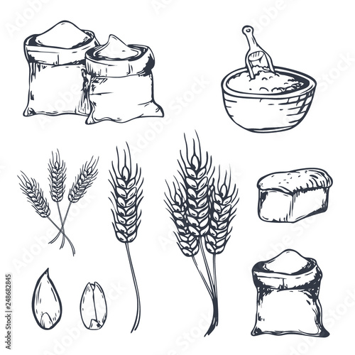 Bread hand drawn set with wheats. Vector illustration