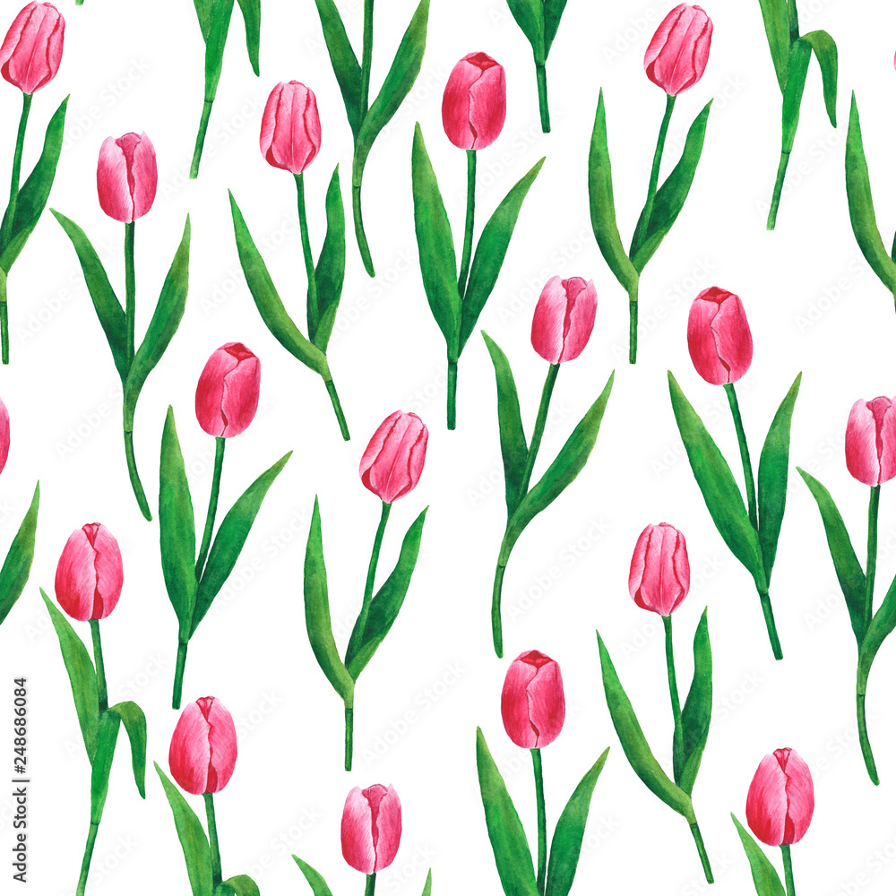 Flowers Tulips Watercolor Pattern Digital Paper Illustration Botanical Spring Decorations Design Greeting Cards Invitation Flowers Tulips Watercolor Pattern Digital Paper Illustration Botanical Spring Decorations Design Greeting Cards Invitation