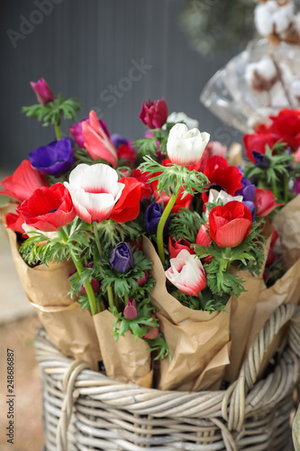 Spring. Beautiful bouquets of Anemone coronaria flowers in red  blue  violet  white colors in the garden shop.