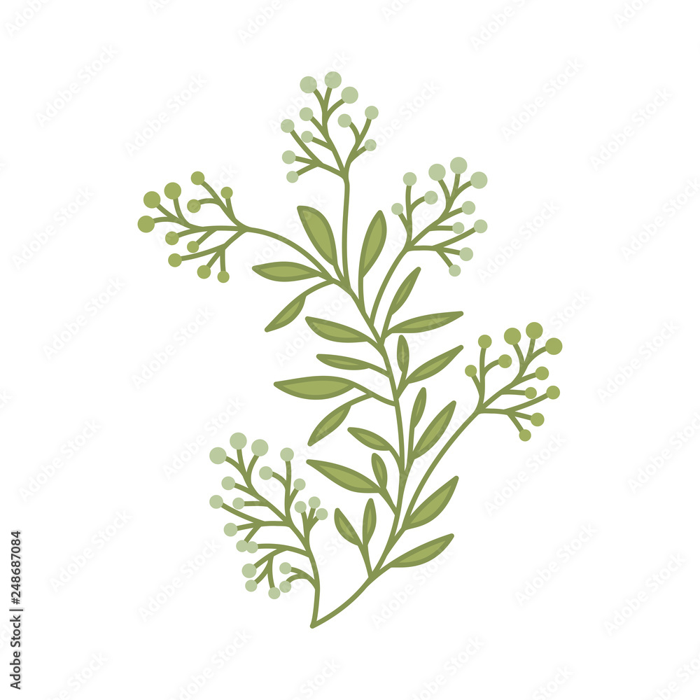 flowers with leafs isolated icon