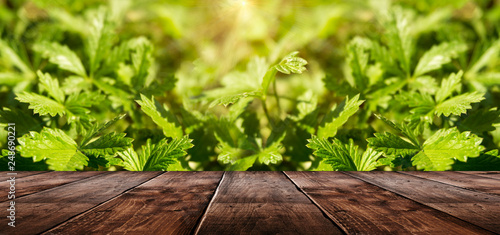 Spring background table.