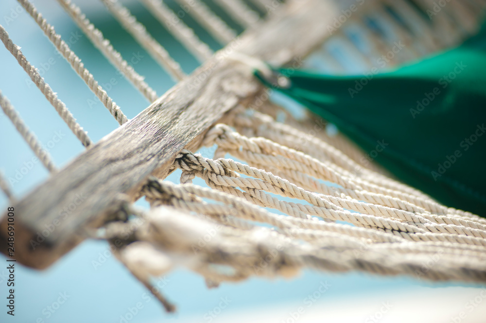 Hammock Macro Hammock Macro