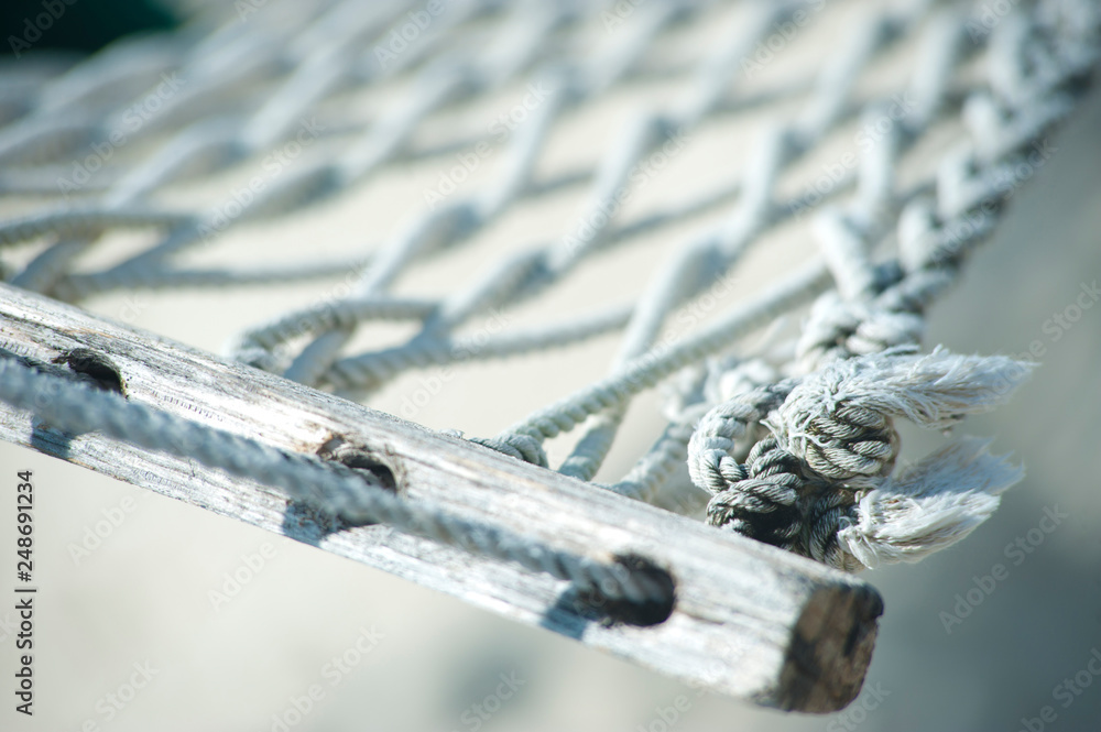 Hammock Macro Hammock Macro