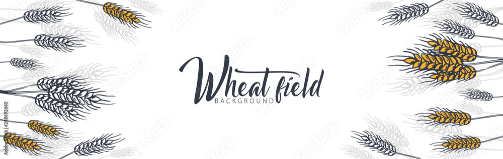 Obraz premium Bakery background with wheats. Linear graphic. Bread banner collection. Bread house. Vector illustration