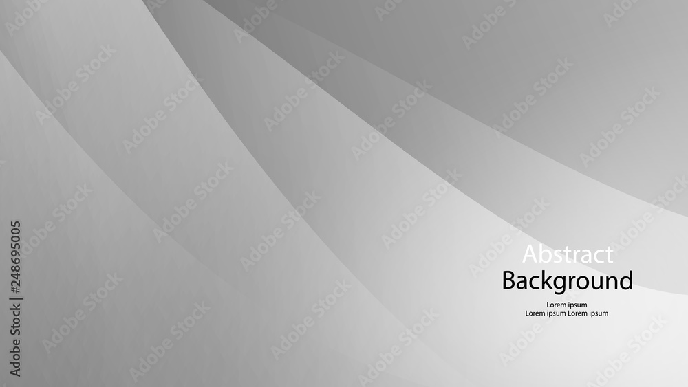 Obraz premium Gray color and white color and black color background abstract art vector