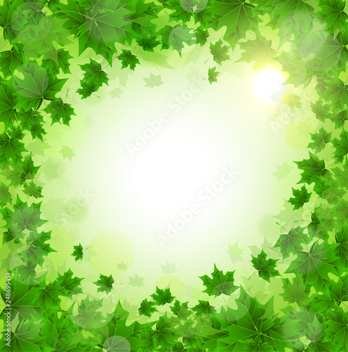 Frame of fresh green leaves of maple. Sunny spring or summer day. Awakening of nature. Cover or background for an article.